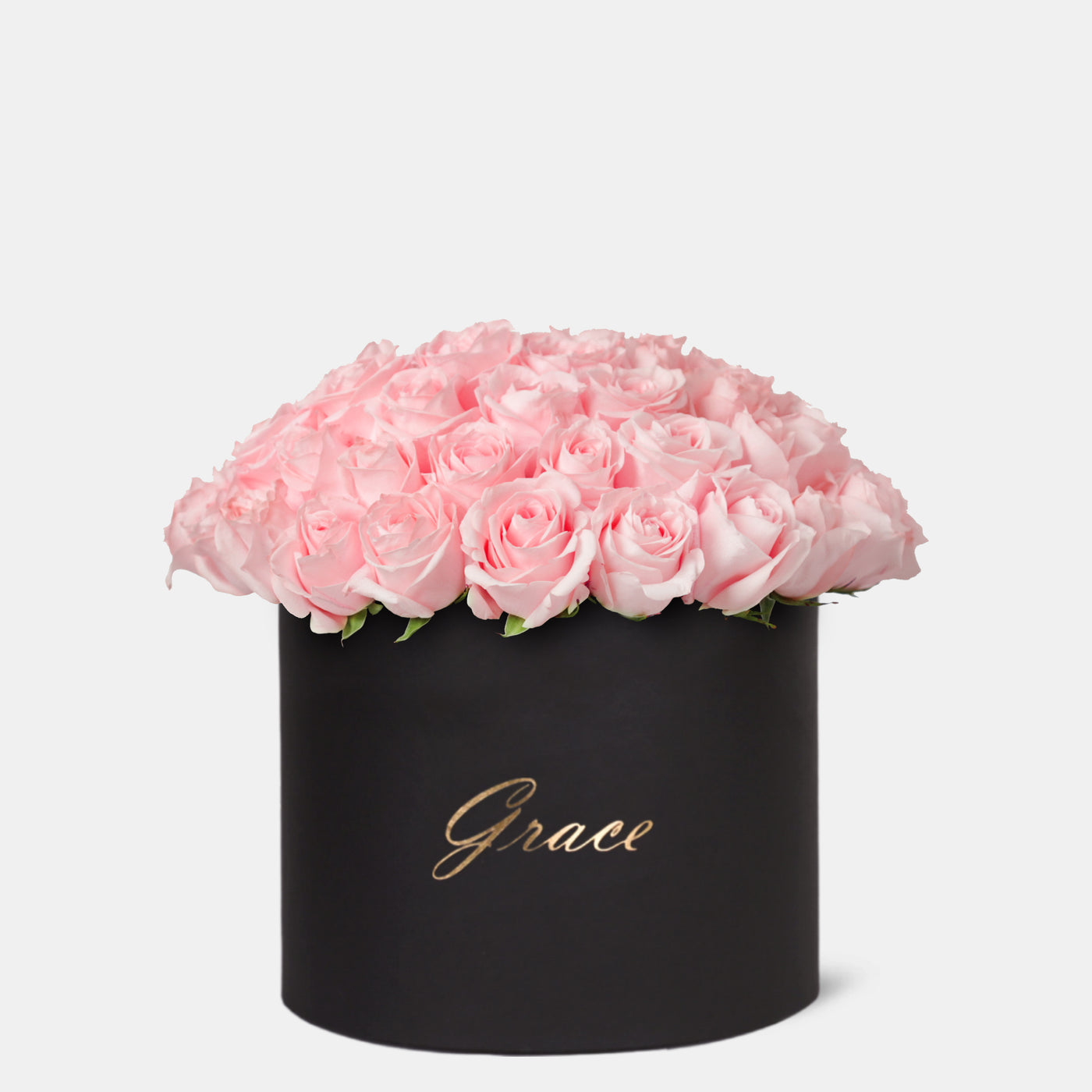 Pink Roses in Box - Monumental