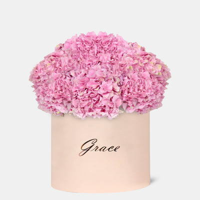 Pink Hydrangea in Box - Monumental