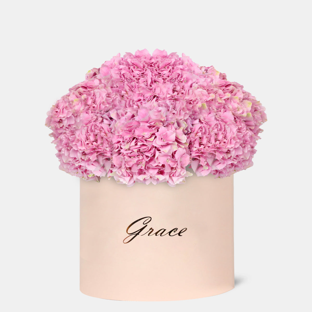 Pink Hydrangea in Box