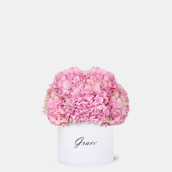 Pink Hydrangea in Box