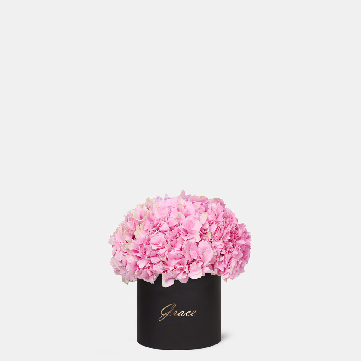 Pink Hydrangea in Box