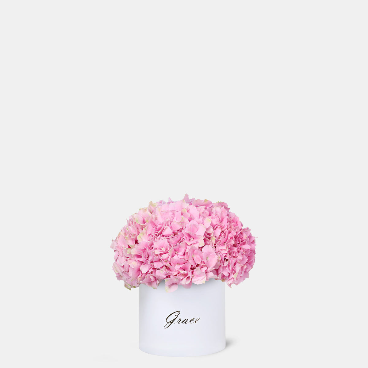 Pink Hydrangea in Box