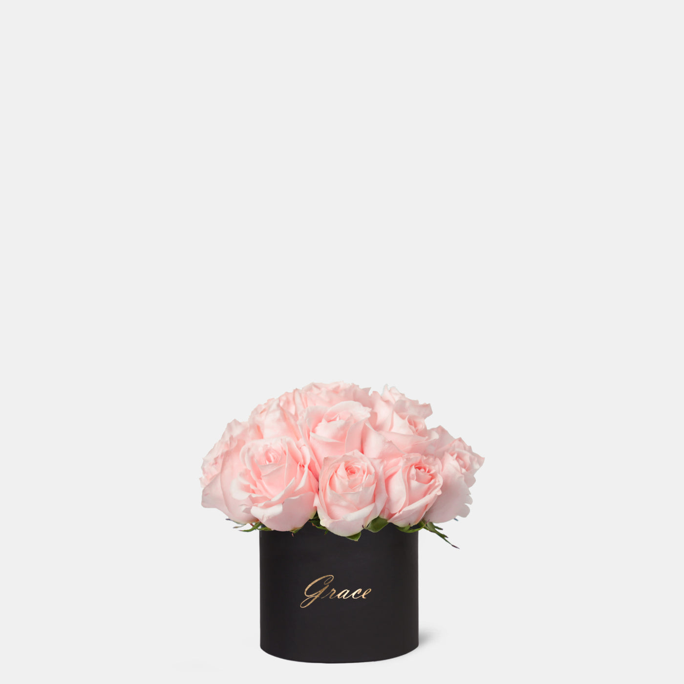 Pink Roses in Box