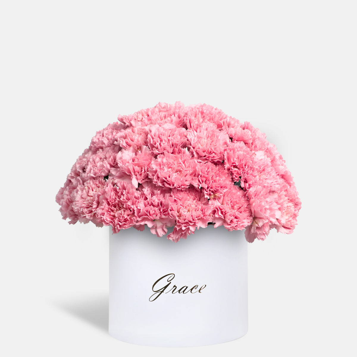 Pink Carnation in Box