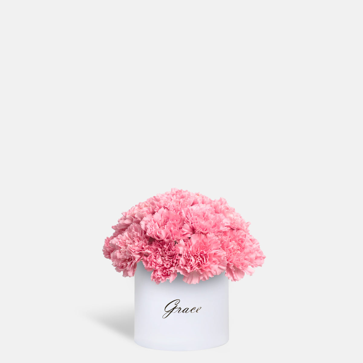 Pink Carnation in Box
