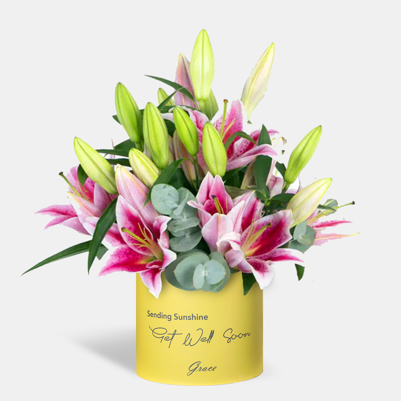 Get Well Soon Pink Lily in Box