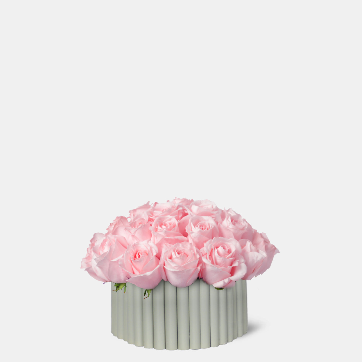 Pink Roses in wooden vase