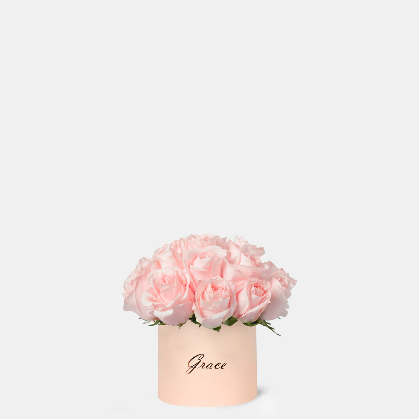 Pink Roses in Box - Chic