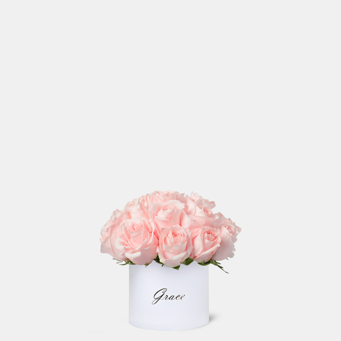 Pink Roses in Box - Chic