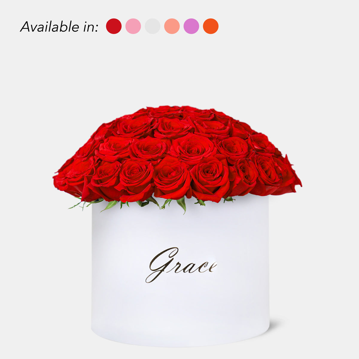 Red Roses in Box