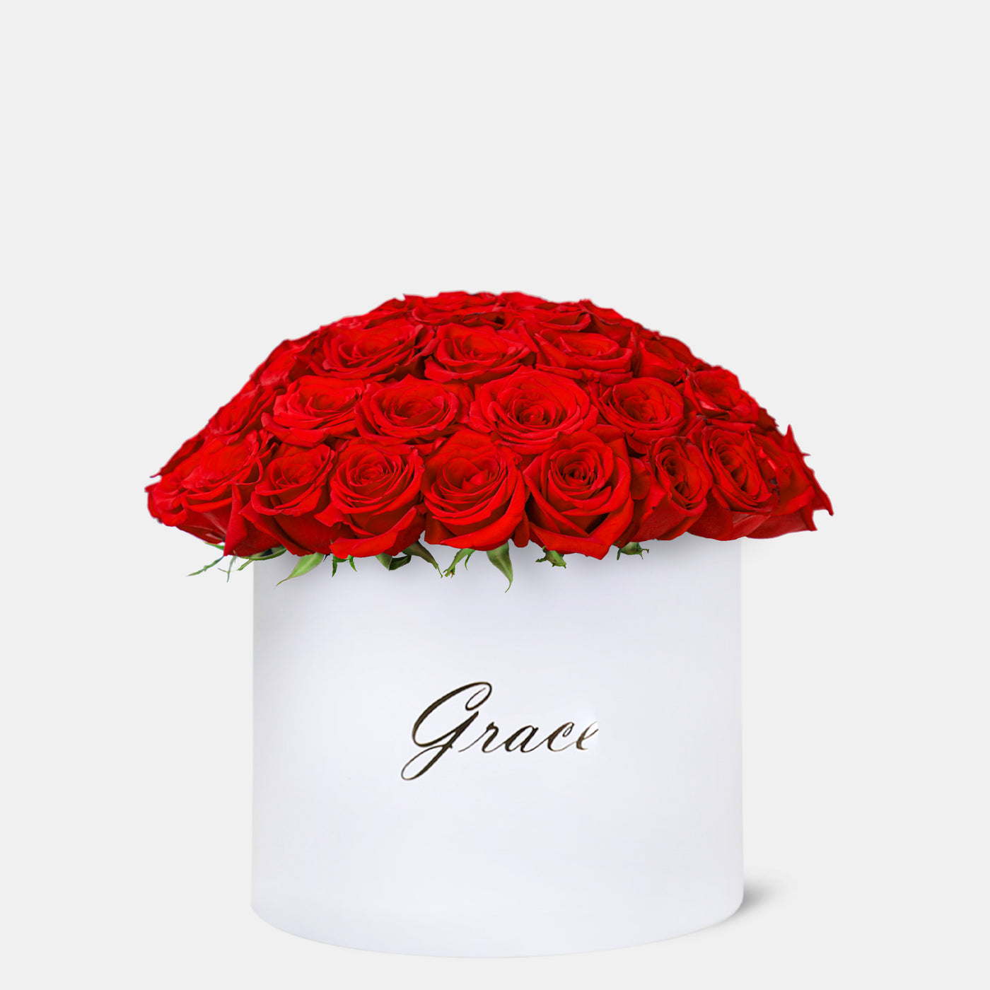 Red Roses in Box