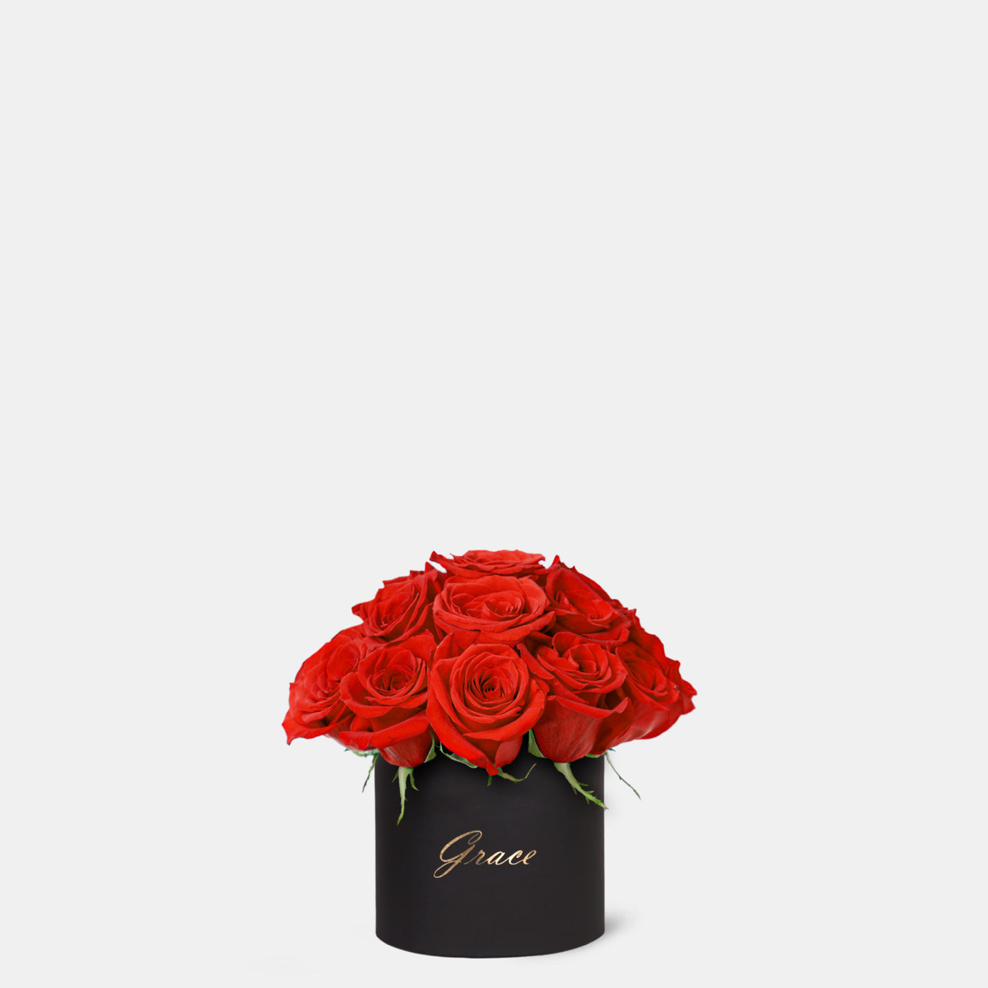 Red Roses in Box