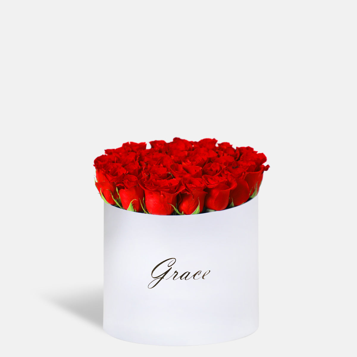 Classic Red Roses