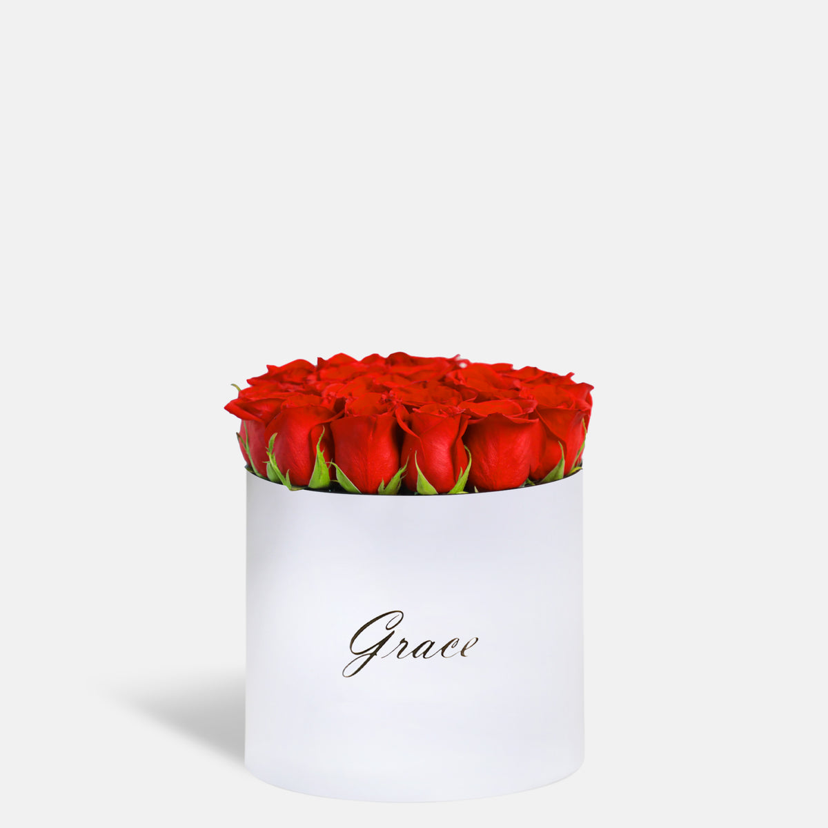 Classic Red Roses