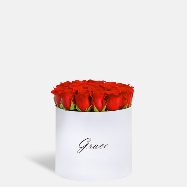 Classic Red Roses