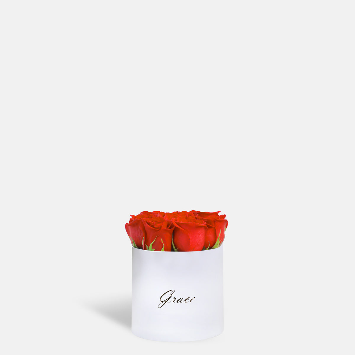 Classic Red Roses