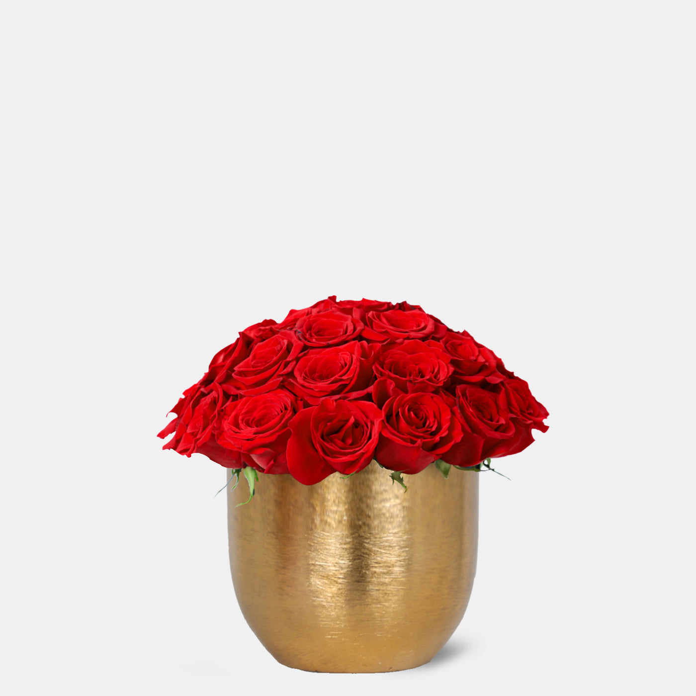 Red Roses in Gold Vase