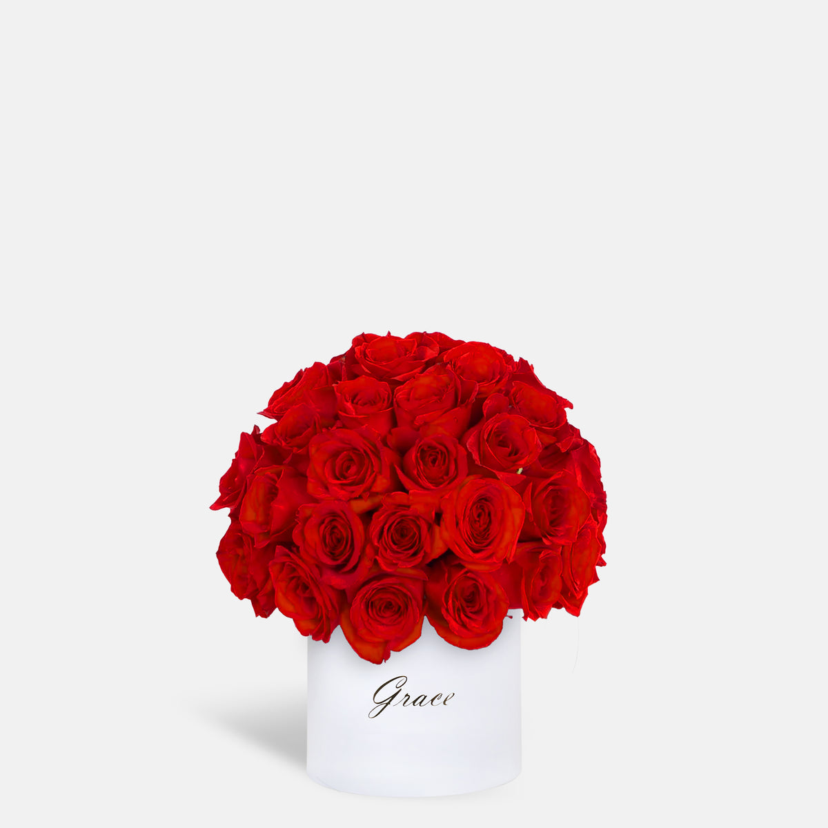 Red Dome in Box | Zuve Edition