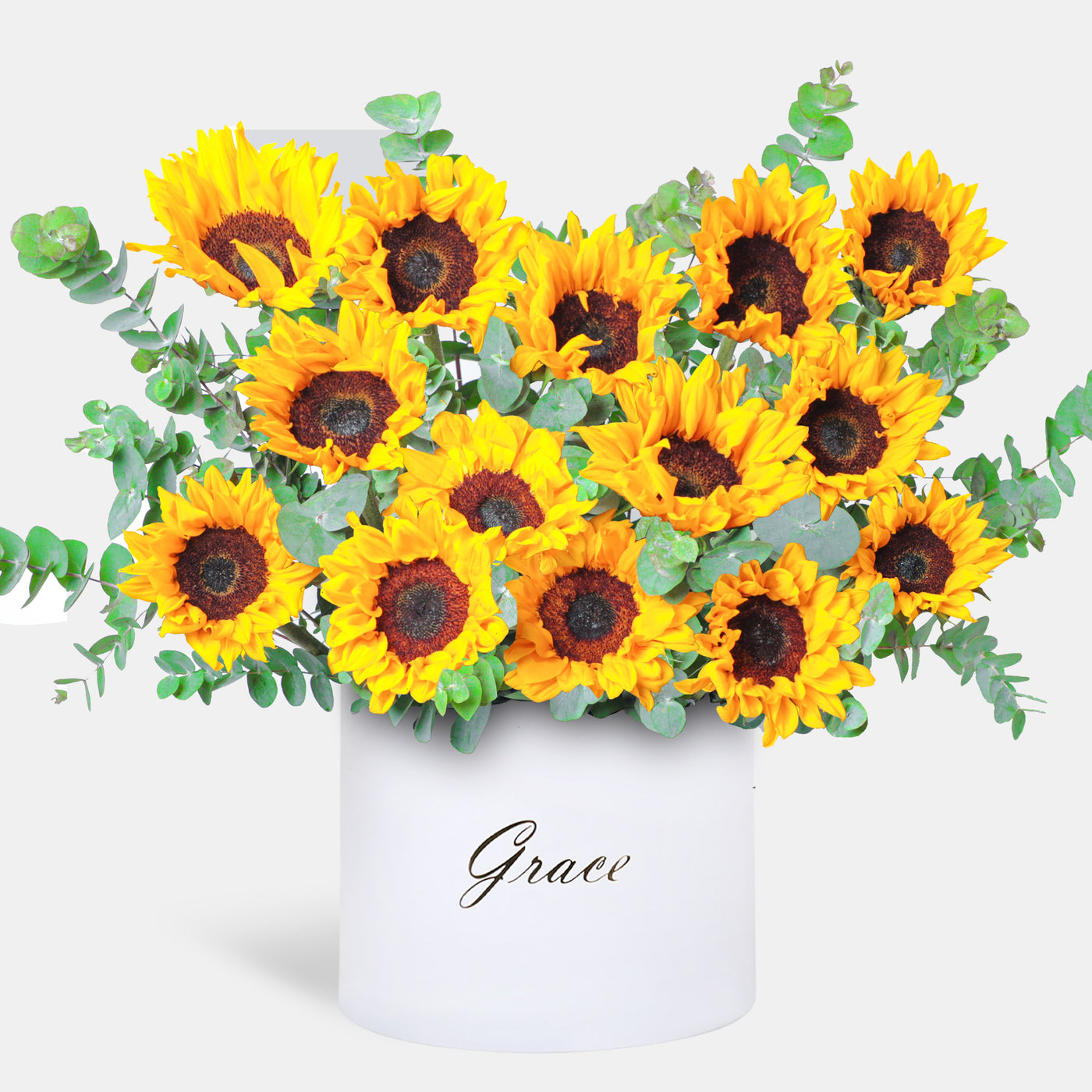 Sunflower in Box