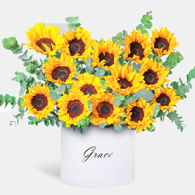 Sunflower in Box
