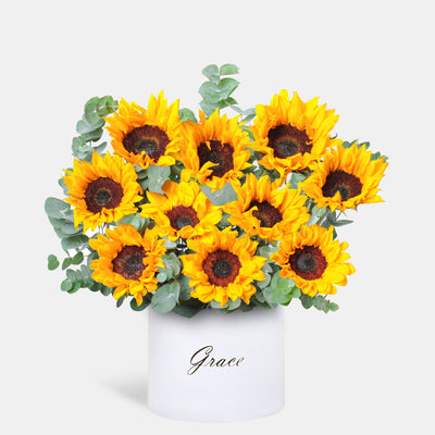 Sunflower in Box