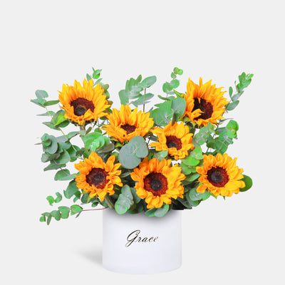 Sunflower in Box