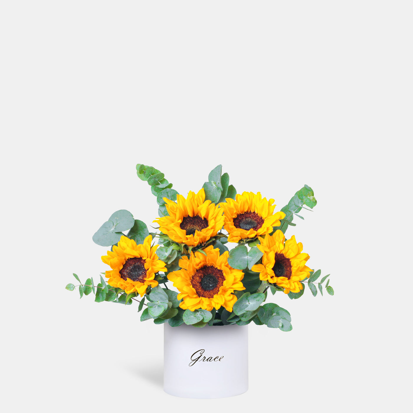 Sunflower in Box