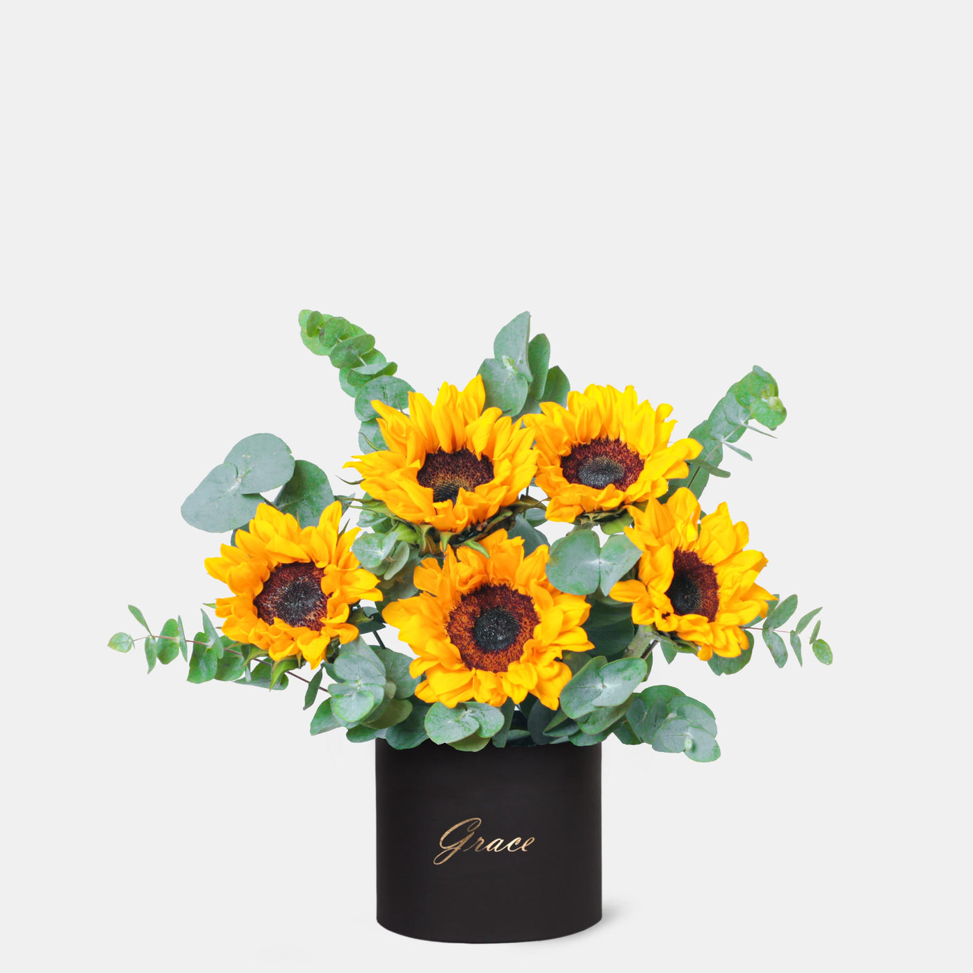 Sunflower in Box - Chic