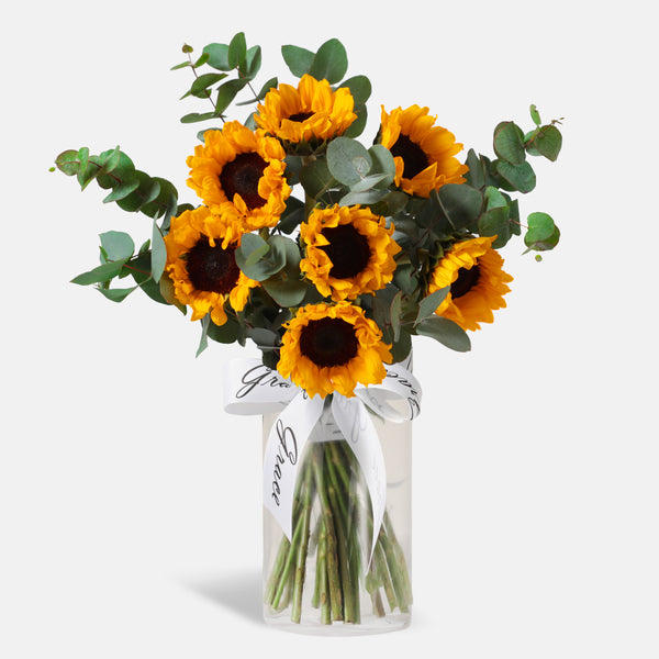 Sunflower in Vase