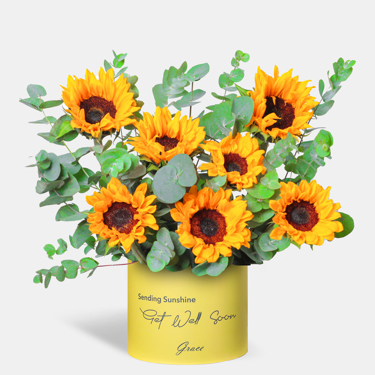 Get Well Soon Sunflower in Box