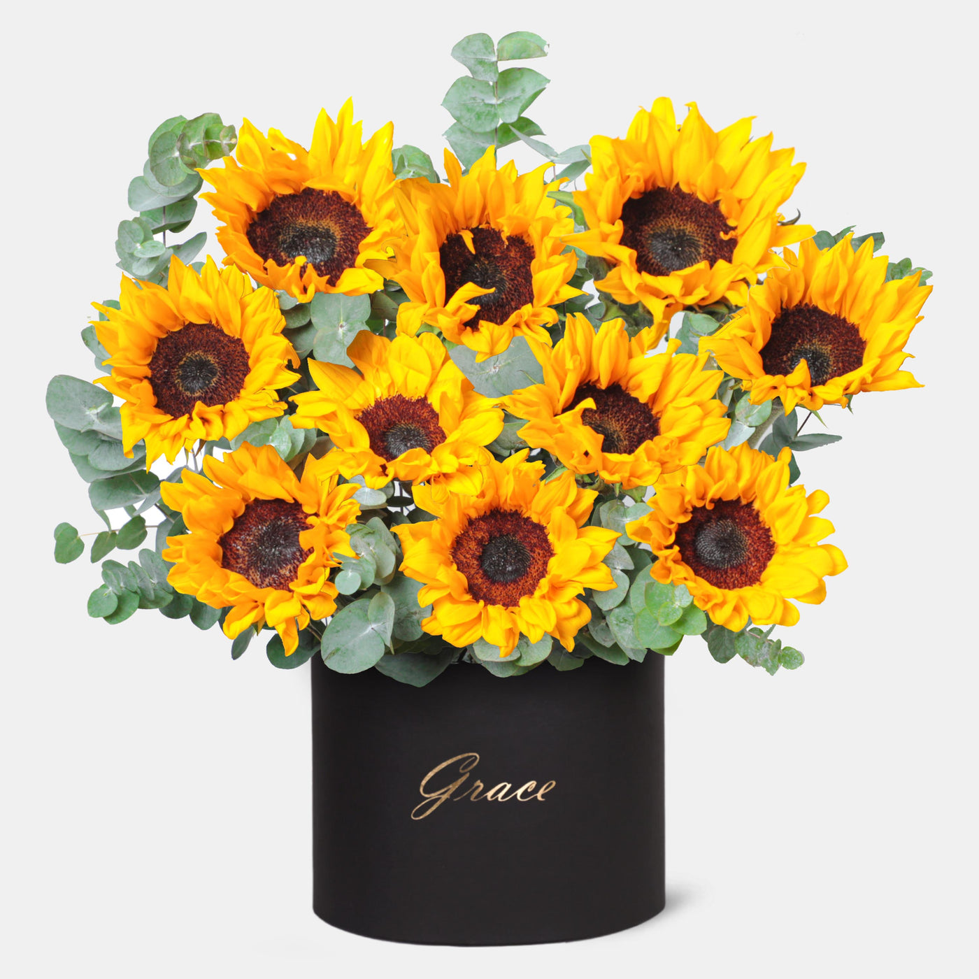 Sunflower in Box - Grandiose