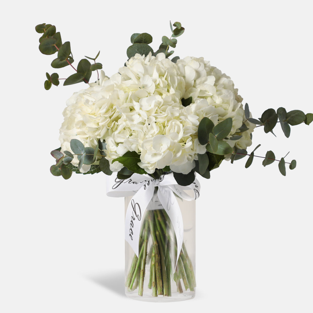 White Hydrangea in Vase
