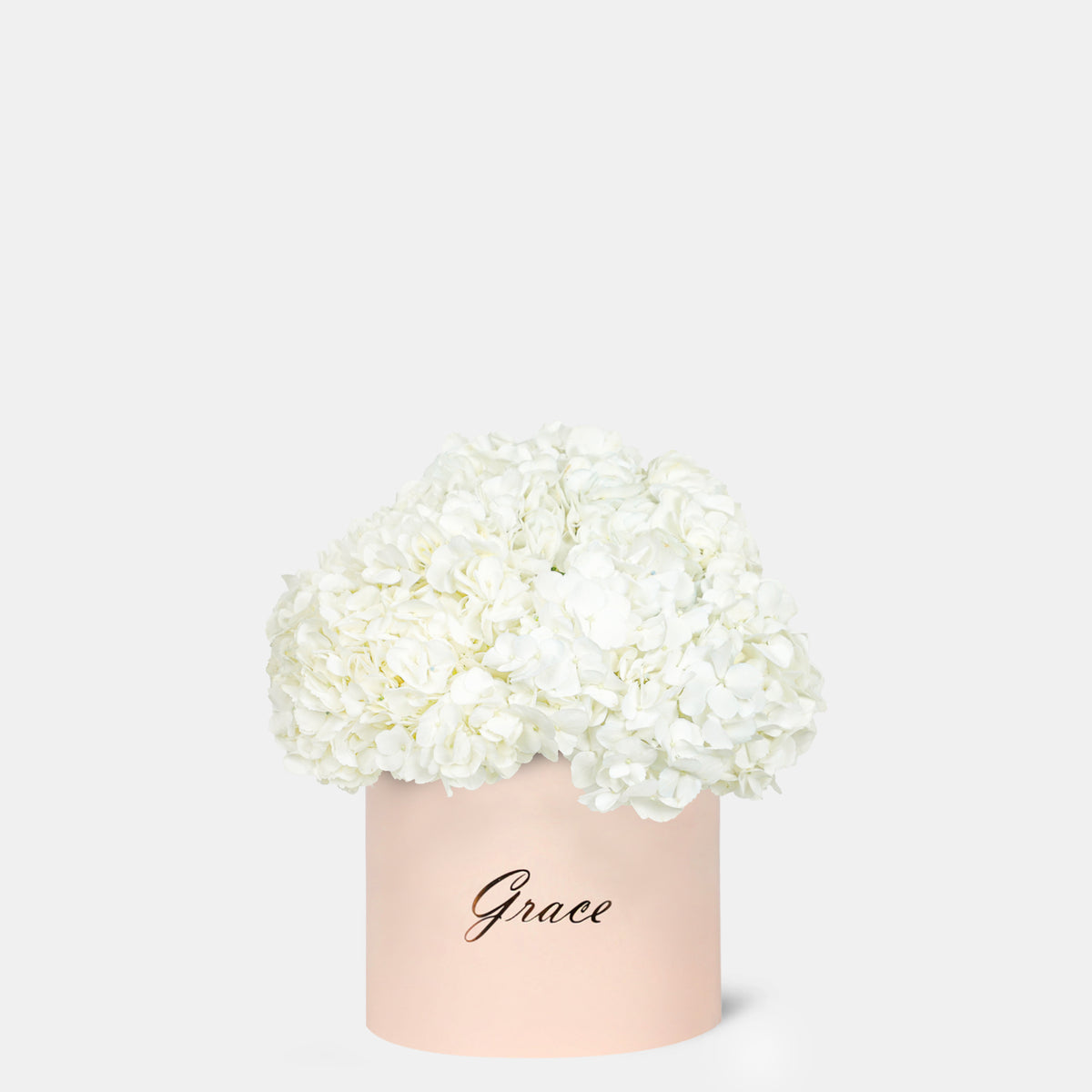 White Hydrangea in Box