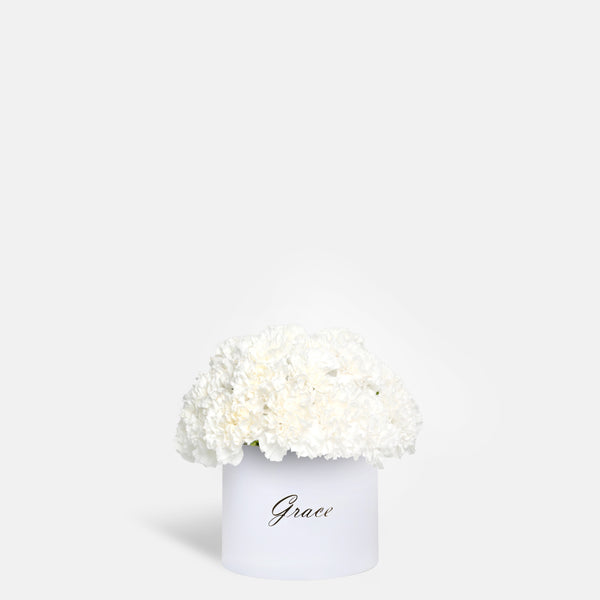 White Carnation in Box
