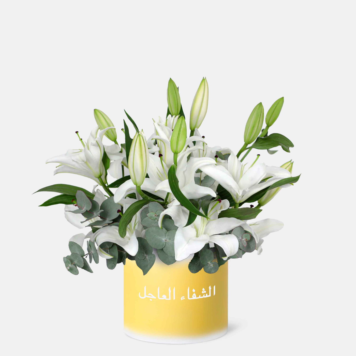 Get Well Soon White Lily in Box - In Arabic