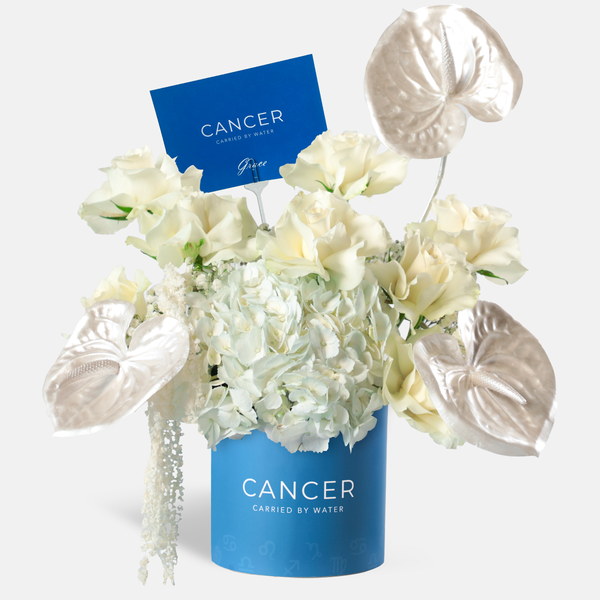 Cancer Zodiac - Halo