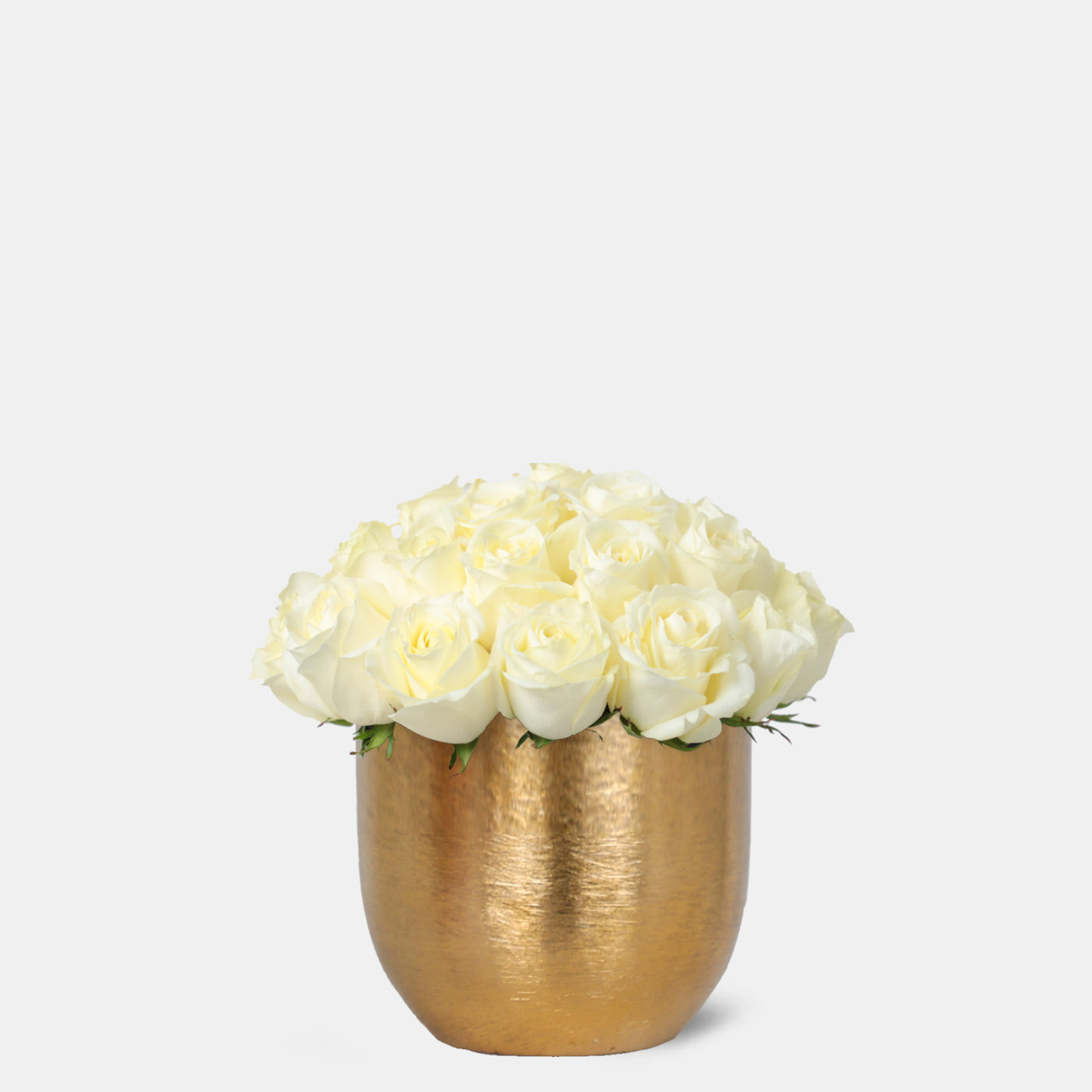 White Roses in Gold Vase