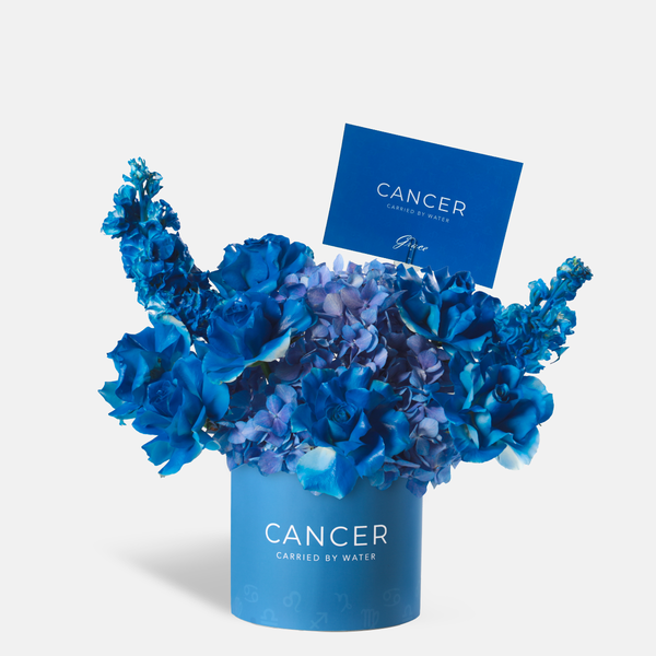 Cancer Zodiac - Deep End
