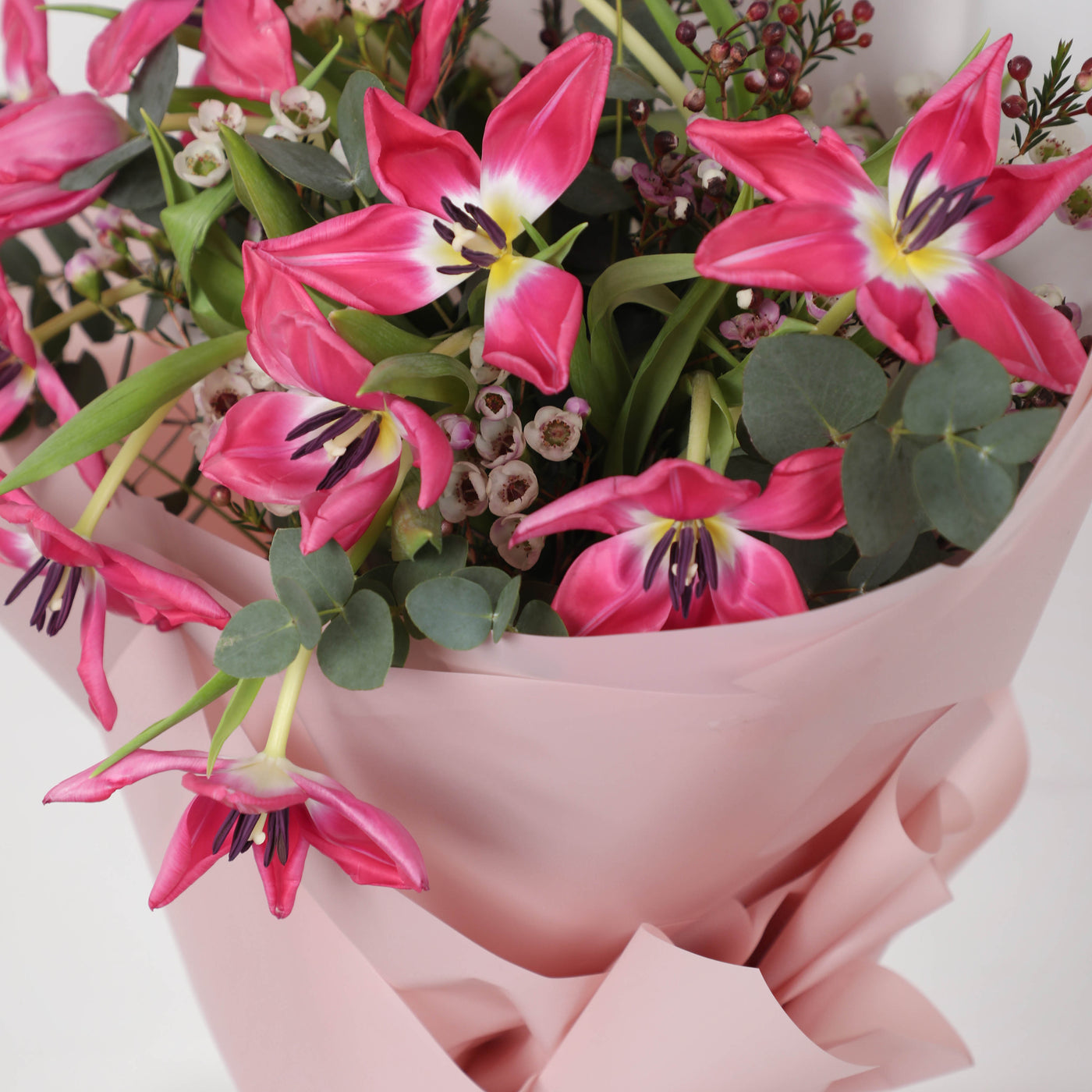 Pink Tulip in Bouquet
