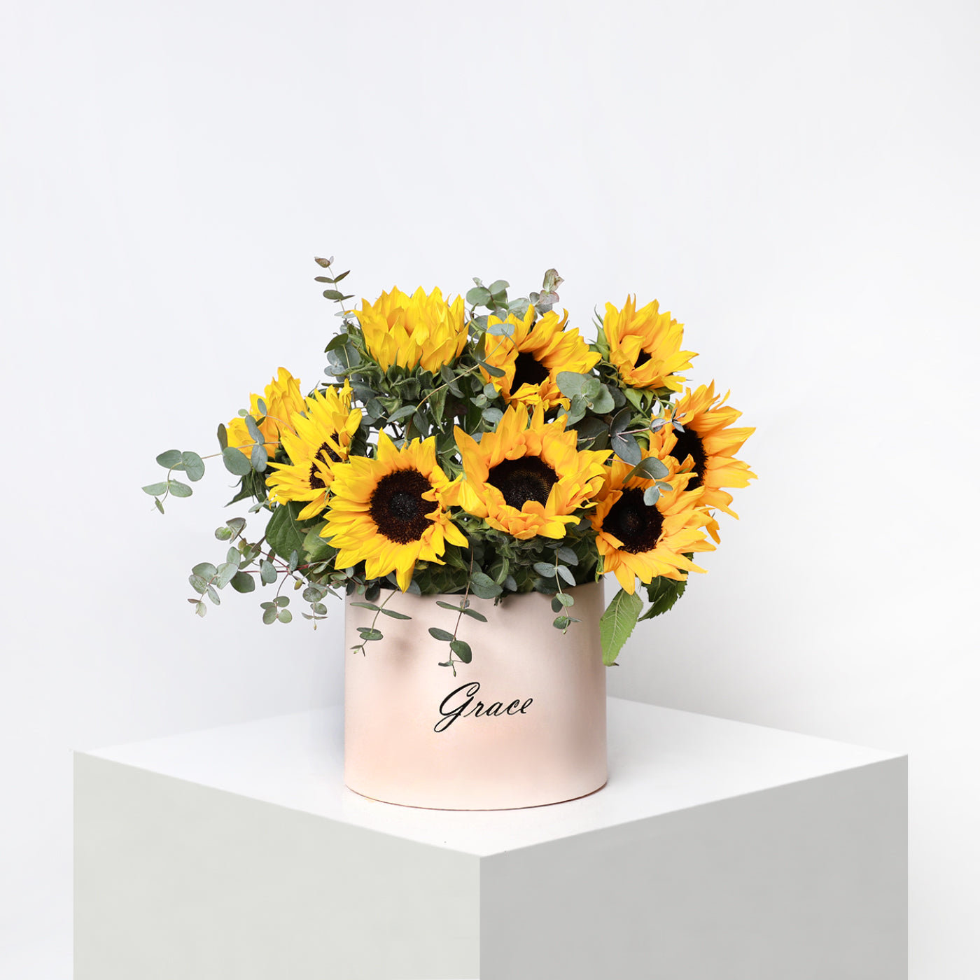 Sunflower in Box