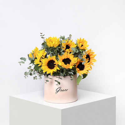 Sunflower in Box