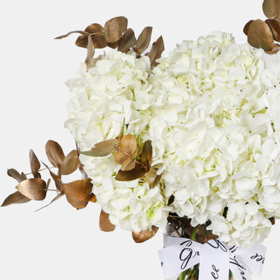 White Hydrangea in Vase