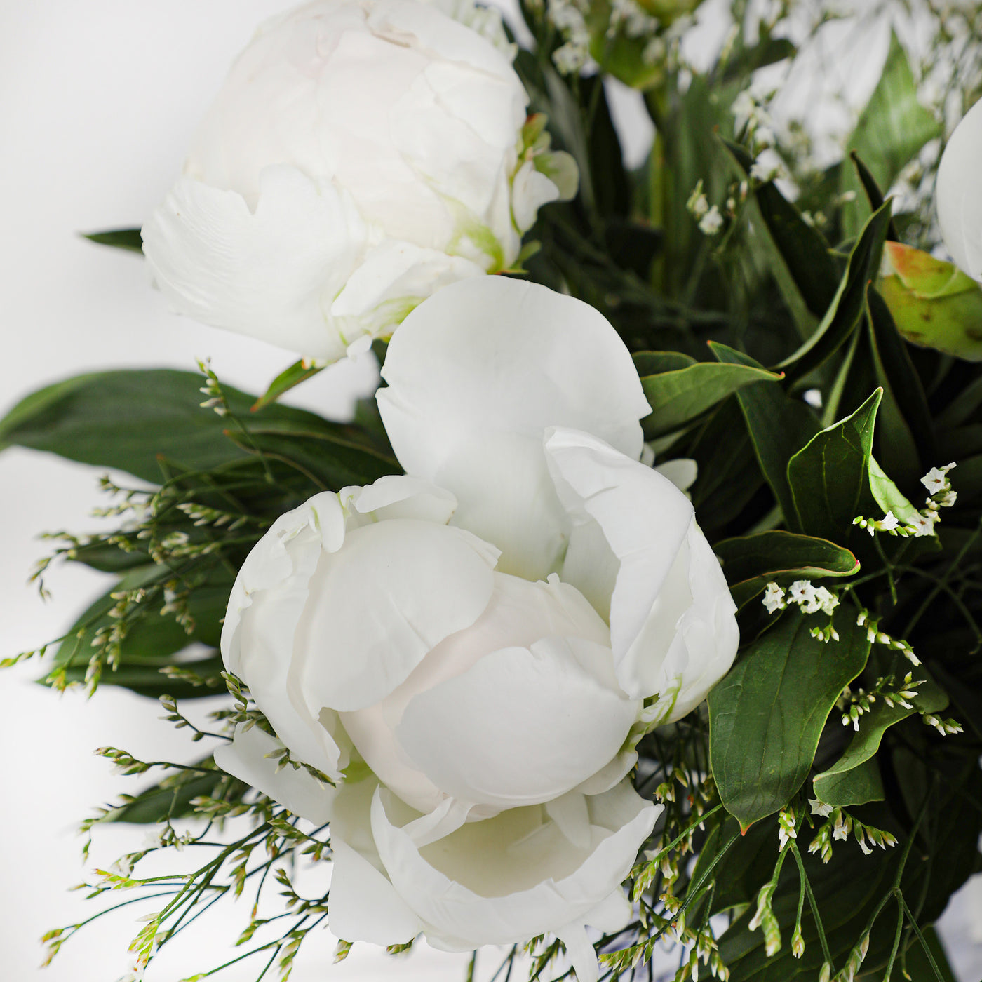 White Peony in Vase
