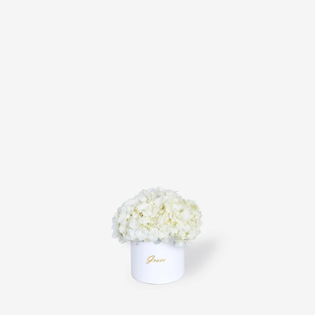 White Hydrangea in Box