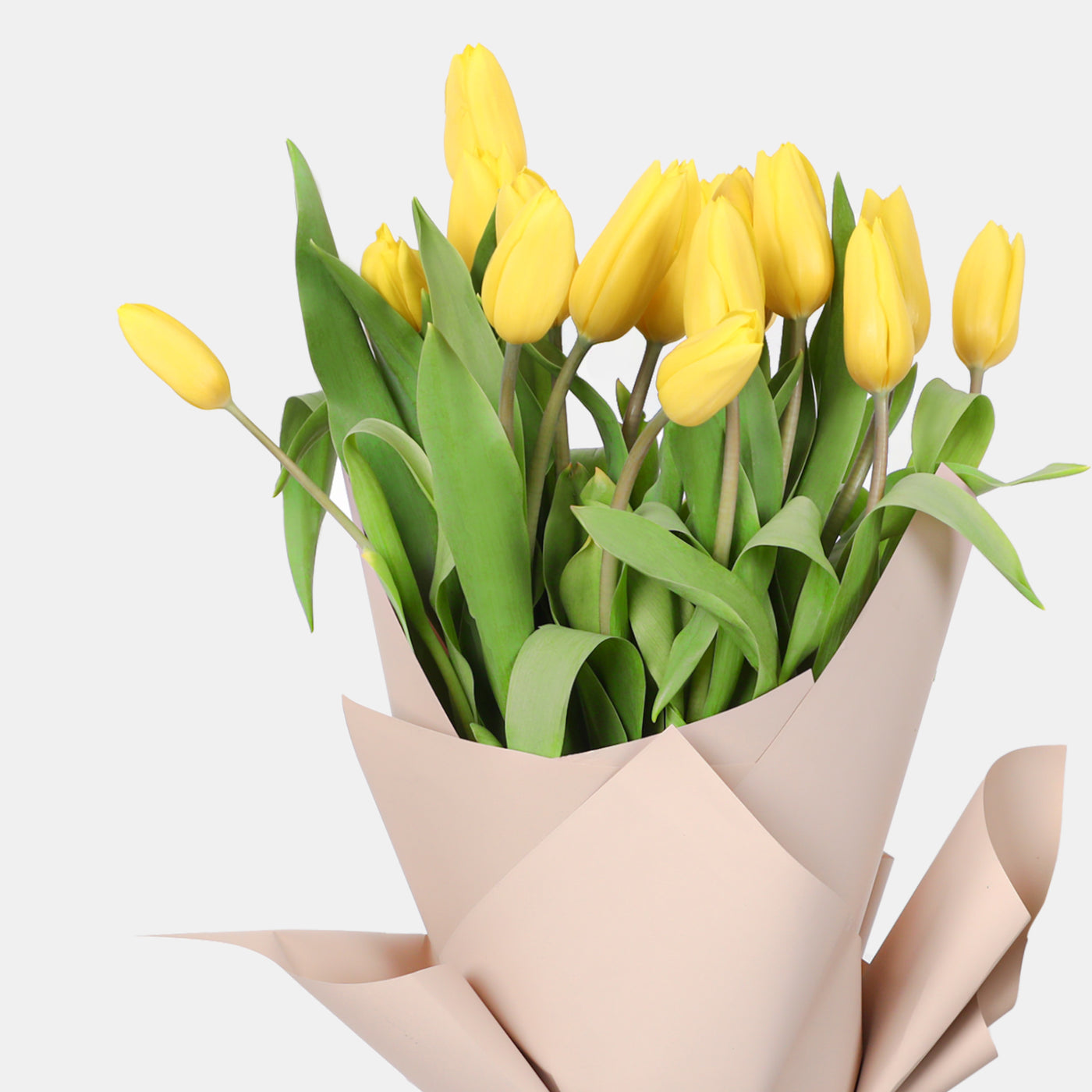 Charming Yellow Tulips Bouquet
