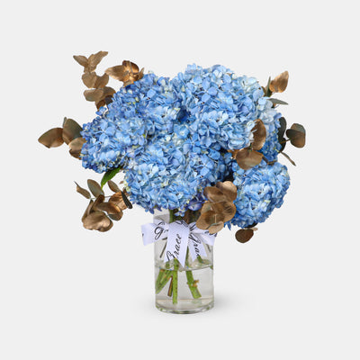 Blue Hydrangea in Vase