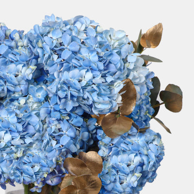 Blue Hydrangea in Vase