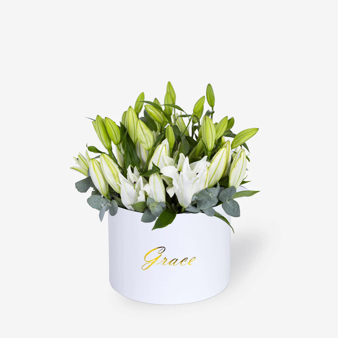 White Lily in Box