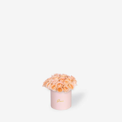 Peach Roses in Box