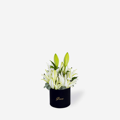 Lily White - Grace Flowers AE